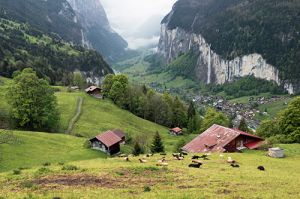 Swiss Countryside in Wengen Area 